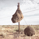 Illustration for article titled What are these mysterious structures in the southern Kalahari?